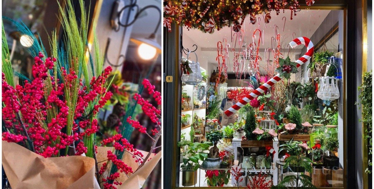Πώς να εντάξετε τα Χριστουγεννιάτικα λουλούδια & φυτά στη διακόσμησή σας