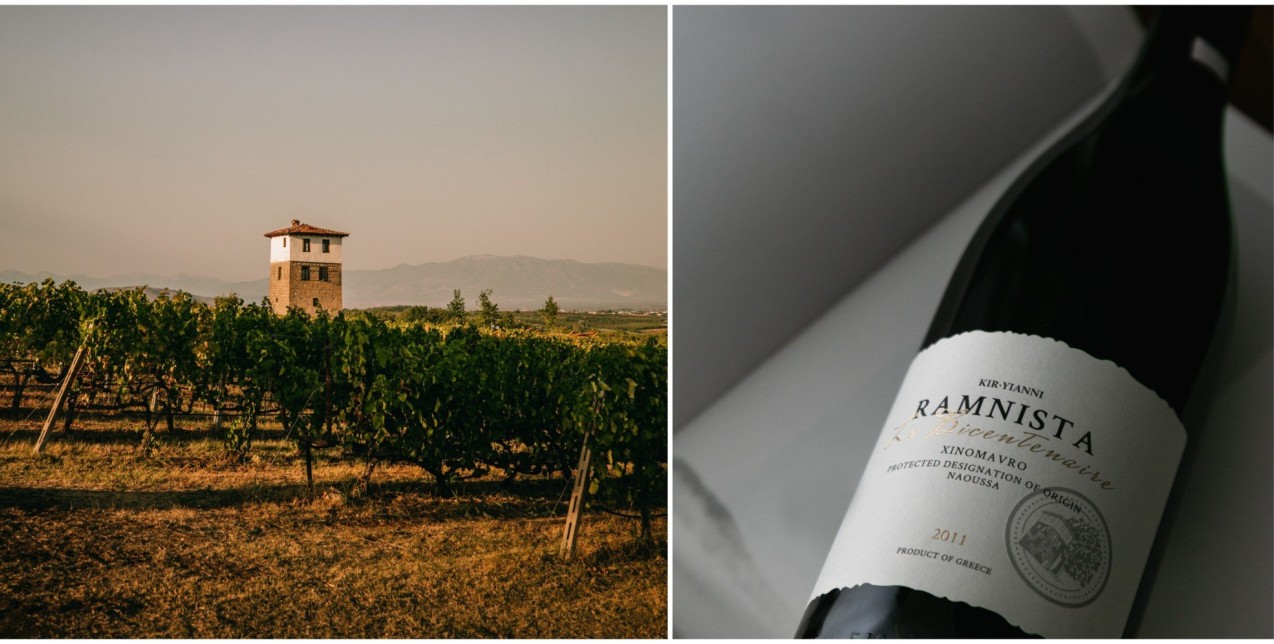 Ξινόμαυρο: H Κυριακή Παναγιώτου παραδίδει μαθήματα οινογνωσίας, παρουσιάζοντάς μας την πιο εμβληματική ερυθρή ποικιλία της Βορείου Ελλάδας