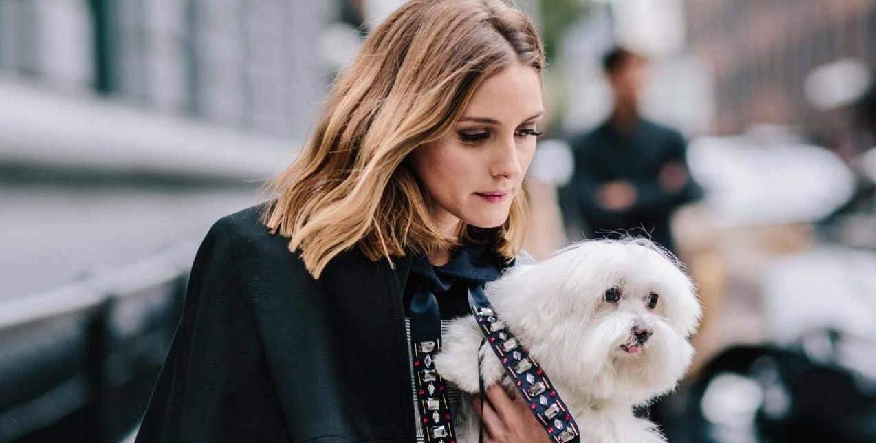 Όλα όσα θα ήθελα να γνωρίζω πριν αποκτήσω το δικό μου κατοικίδιο 