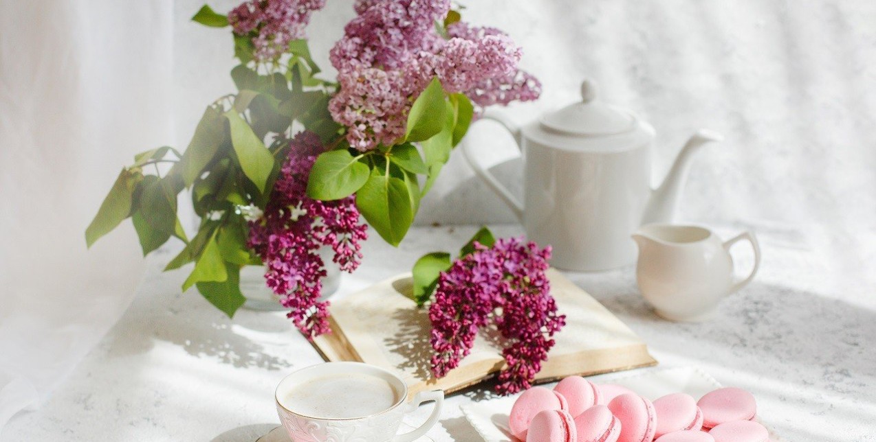 Plant Combos: Οι καλύτεροι συνδυασμοί φυτών για την κατοικία σας