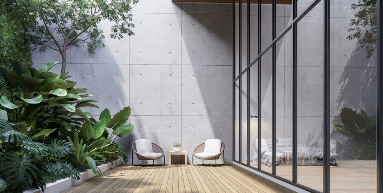 Τα καλύτερα αναρριχώμενα φυτά, στα οποία αξίζει να επενδύσετε 