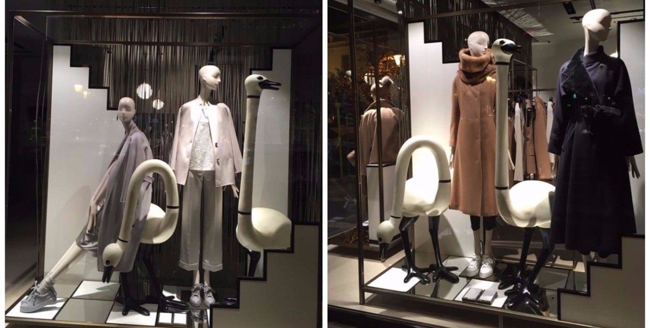 What's GLOW Vol.10 | 12.12