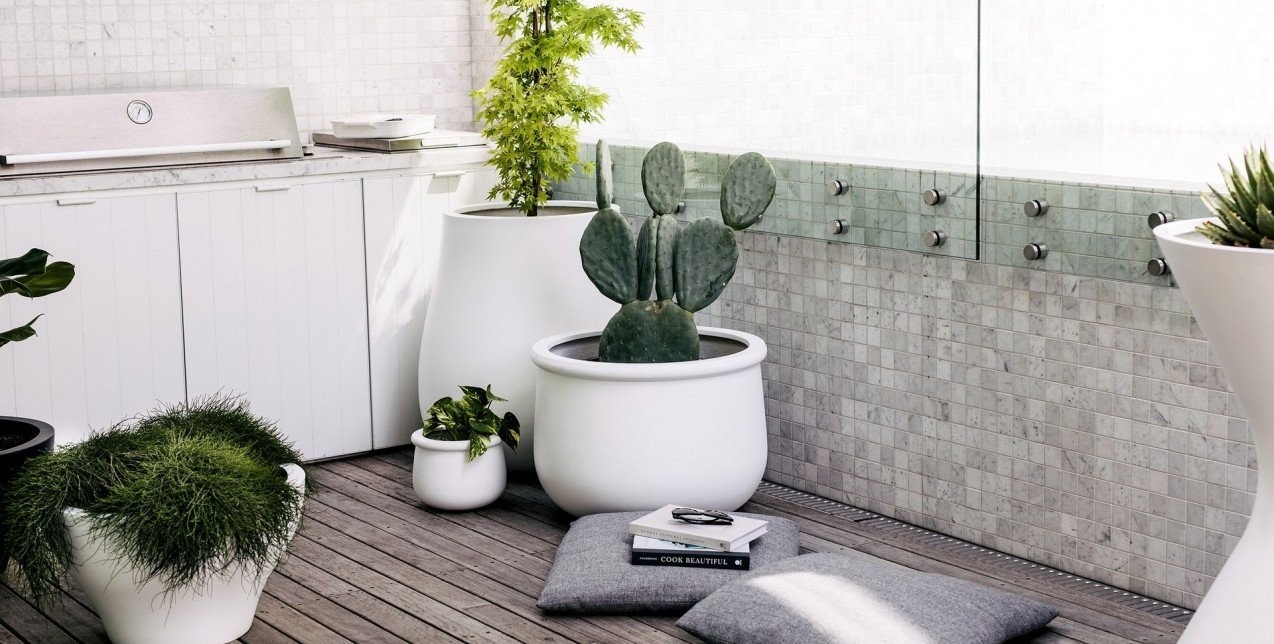 Τα πιο εντυπωσιακά houseplants που χρειάζονται ελάχιστη φροντίδα