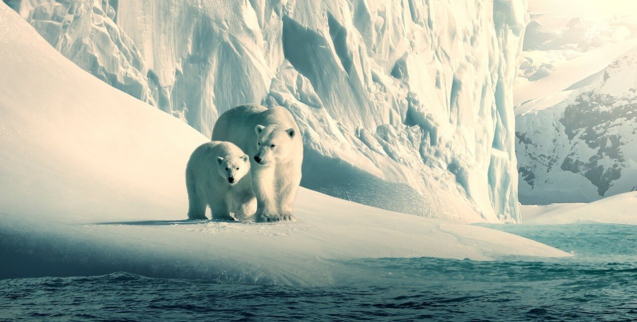 Τα καλύτερα ντοκιμαντέρ με θέμα τη φύση για να παρακολουθήσετε στο Netflix