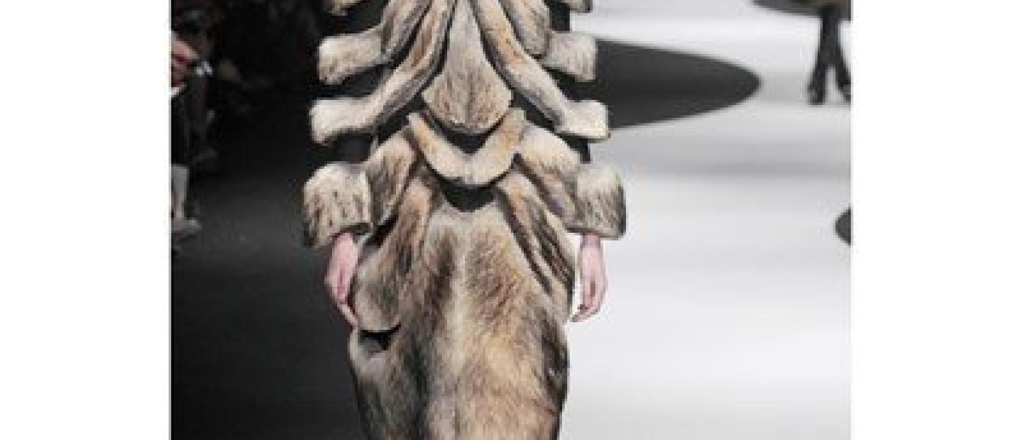 Fall/Winter 2012/13