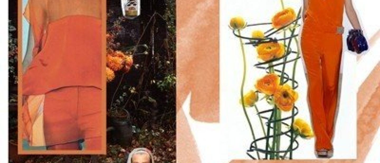 Orange Dream