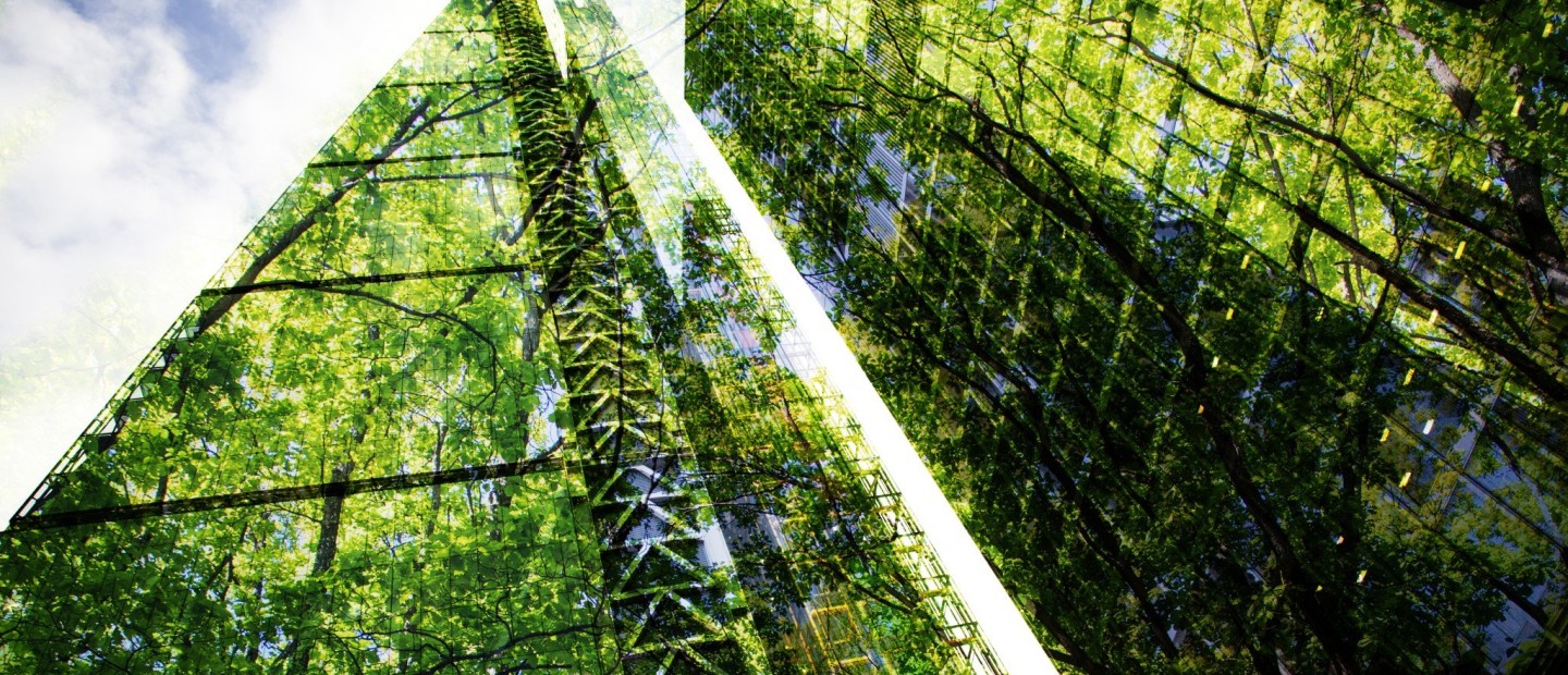 El Niño: Μήπως η υπερβολική ζέστη και τα ακραία καιρικά φαινόμενα πρέπει να μας προβληματίσουν;