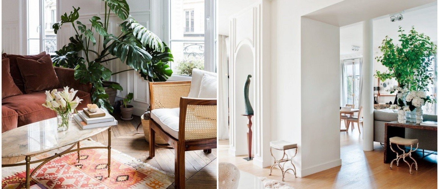 Τα φυτά για να εντάξετε στο σπίτι σας τώρα και για όλο τον χειμώνα