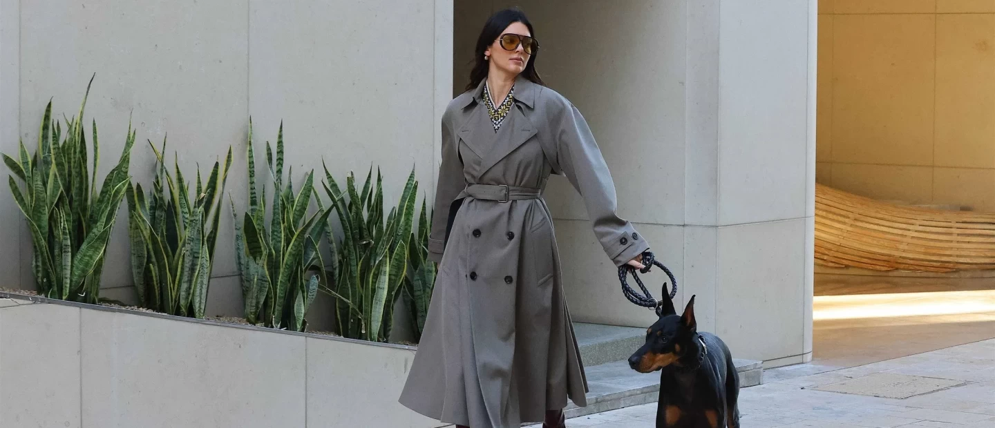 Dogwalks are the new catwalks: Οι αγαπημένες μας street style εμφανίσεις των celebrities με τους σκύλους τους