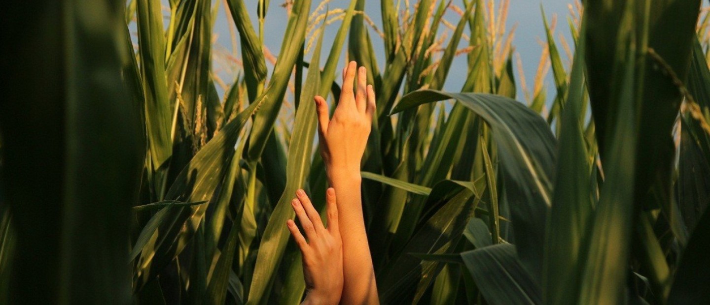 Go green: Τα must-try tips για να υιοθετήσετε έναν eco-friendly τρόπο ζωής