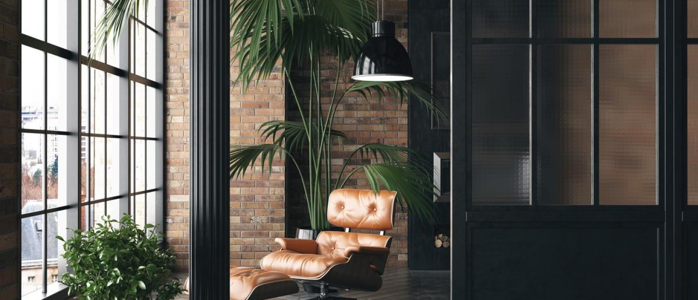 Easy to grow plants: 6 φυτά που είναι ιδανικά για αρχάριους