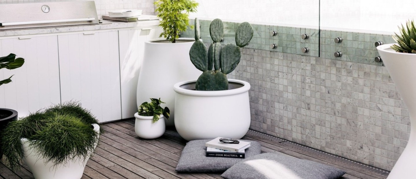 Τα 5 φυτά που προσελκύουν την αρνητική ενέργεια και δεν πρέπει να τοποθετείτε στο σπίτι σας