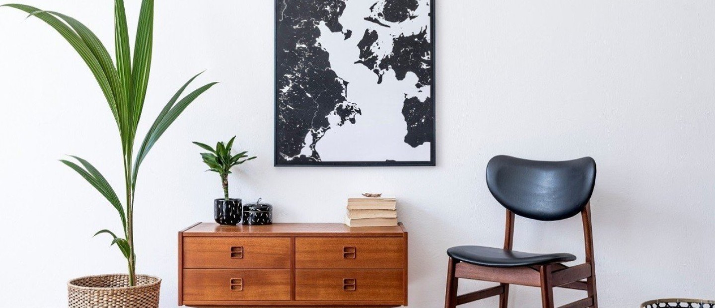 6 φυτά εσωτερικού χώρου που επιβιώνουν στο σκοτάδι, ιδανικά γι' αυτήν την εποχή