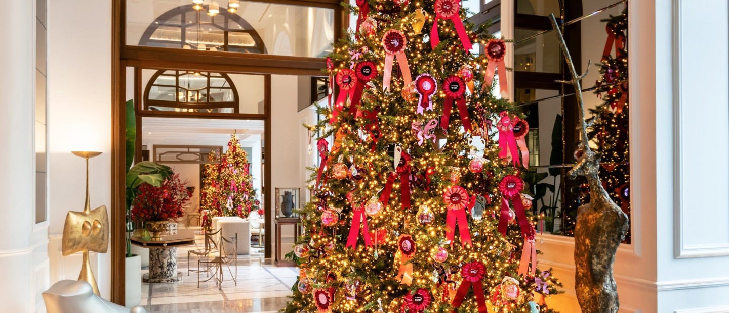 The Dolli: You Deserve Wow!