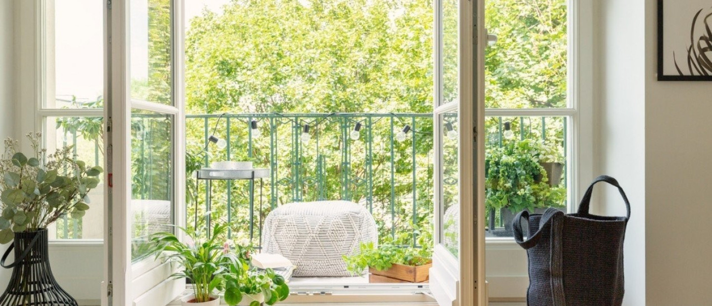 Τα μόνα φυτά που επιβιώνουν τόσο μέσα όσο κι έξω από το σπίτι