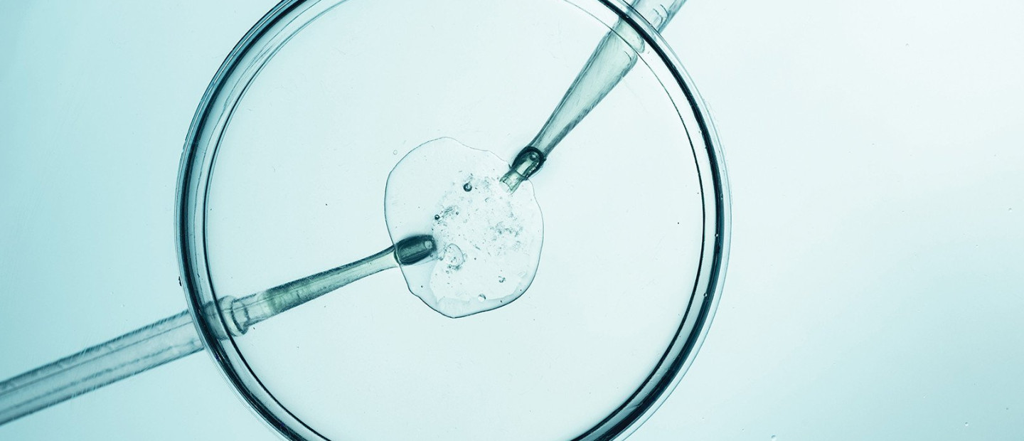 Με ποιους τρόπους η τεχνητή νοημοσύνη έχει φέρει την επανάσταση στην ιατρική ακρίβειας, υπηρετώντας τον άνθρωπο;