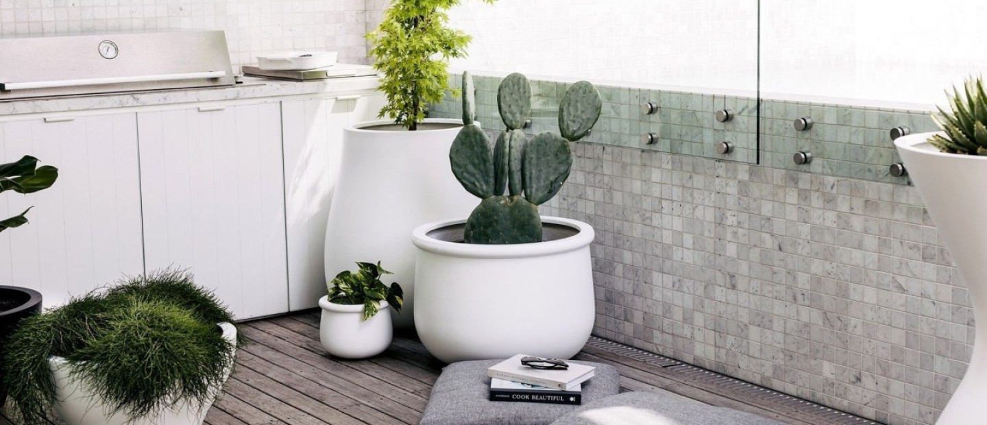 Φεύγετε για διακοπές; Πώς θα φροντίσετε τα φυτά σας για το διάστημα που θα βρίσκεστε εκτός