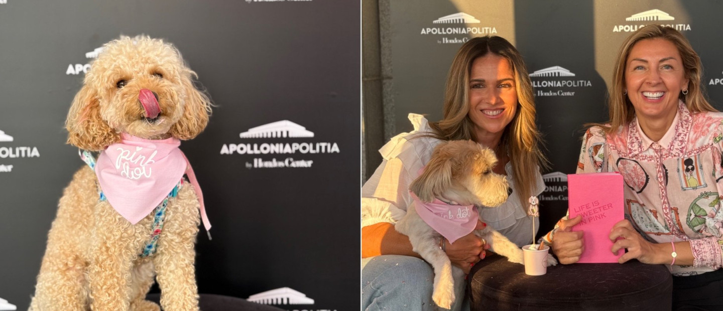 Η Apollonia Politia γιόρτασε την Παγκόσμια Ημέρα Σκύλου με τον πιο δημιουργικό και γλυκό τρόπο 