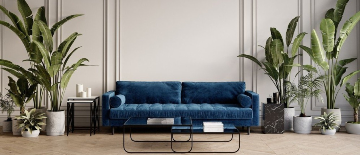 Φυτά εσωτερικού χώρου και καθαρή ατμόσφαιρα: Μύθος ή πραγματικοί σύμμαχοι ευεξίας;