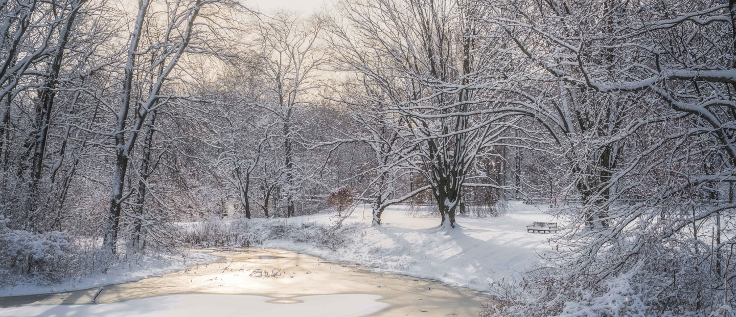 Winter Wonderlands: Οι ομορφότεροι χιονισμένοι κήποι στον κόσμο