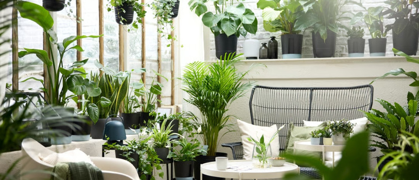 Ποιοι είναι οι ιδανικοί βολβοί για να φυτέψουμε τον Μάρτιο ώστε να αποκτήσουμε έναν εντυπωσιακό καλοκαιρινό κήπο