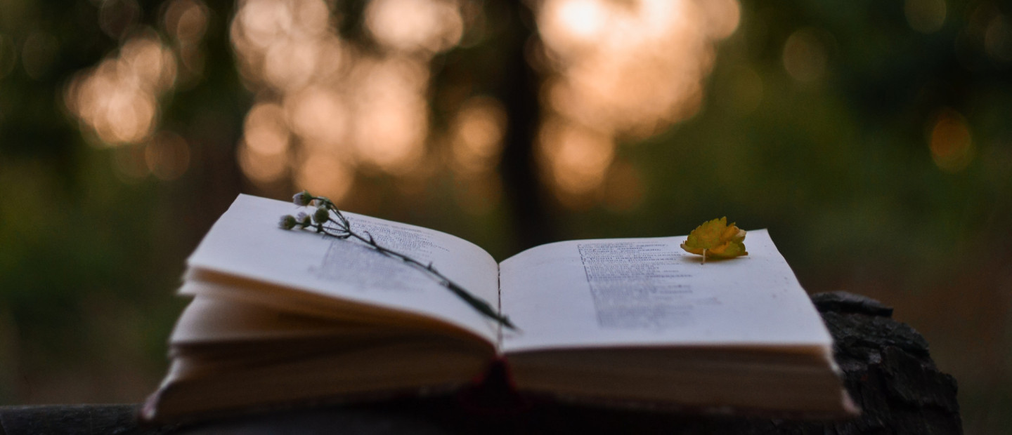 World Poetry Day: Οι καλύτερες ποιητικές συλλογές όλων των εποχών που πρέπει να διαβάσετε έστω μία φορά στη ζωή σας