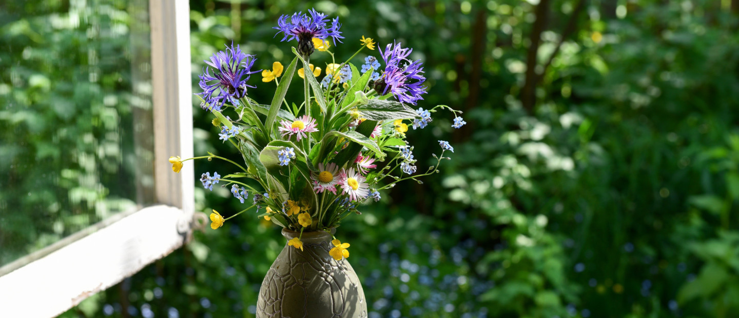 Τα 5+1 It Plants για το 2026: Οι τάσεις που θα μεταμορφώσουν τα μπαλκόνια και τις αυλές σας την άνοιξη