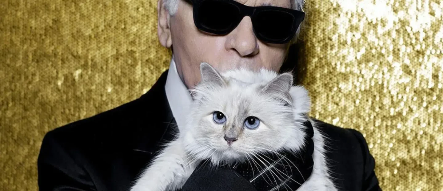 Τι συνέβη με τη διάσημη γάτα του Karl Lagerfeld που κληρονόμησε εκατομμύρια αλλά τελικά δεν έλαβε τίποτα;