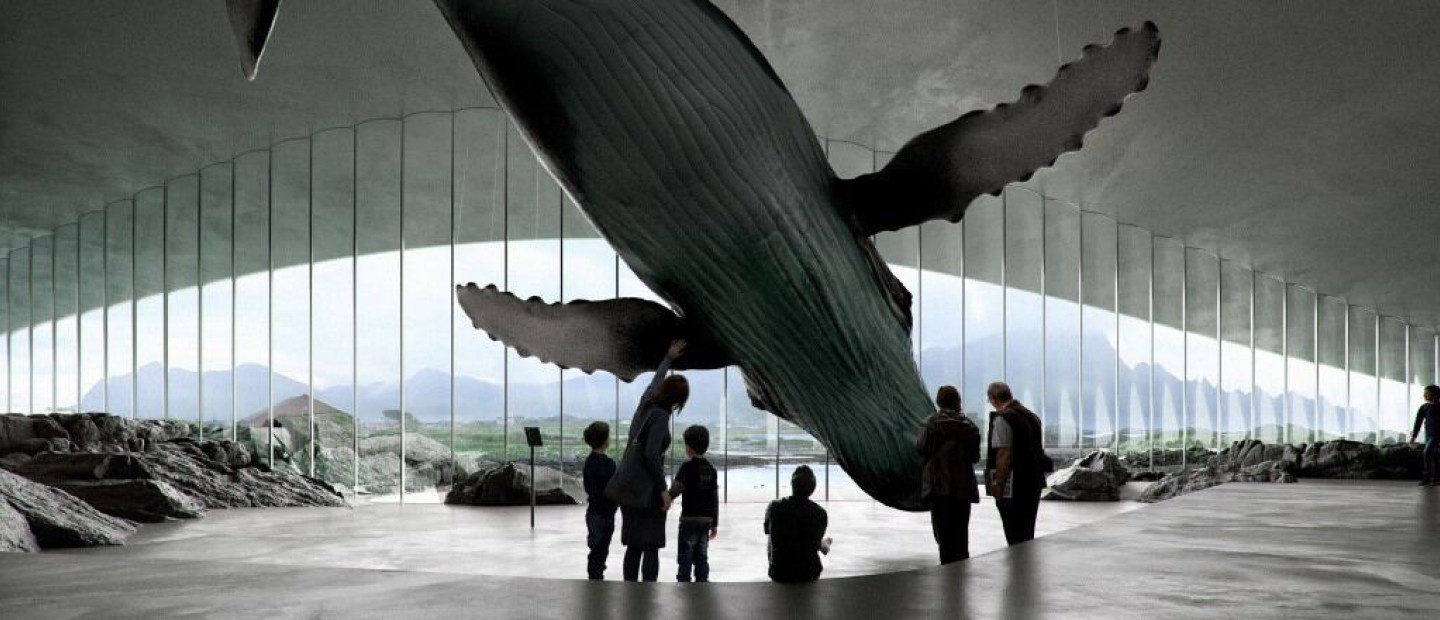 The Whale: Ένα νέο εντυπωσιακό μουσείο αφιερωμένο στις φάλαινες γίνεται «ένα» με το αρκτικό τοπίο