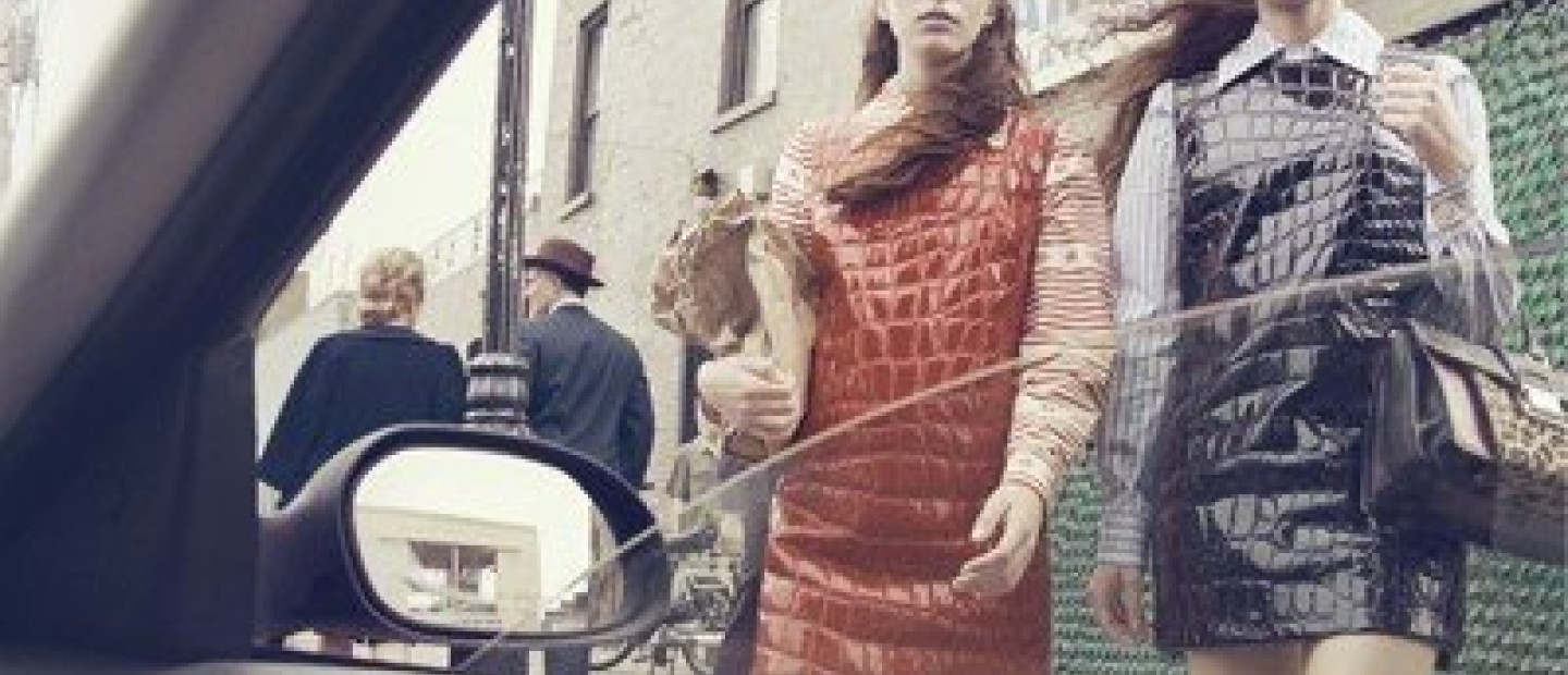 Fall Campaign