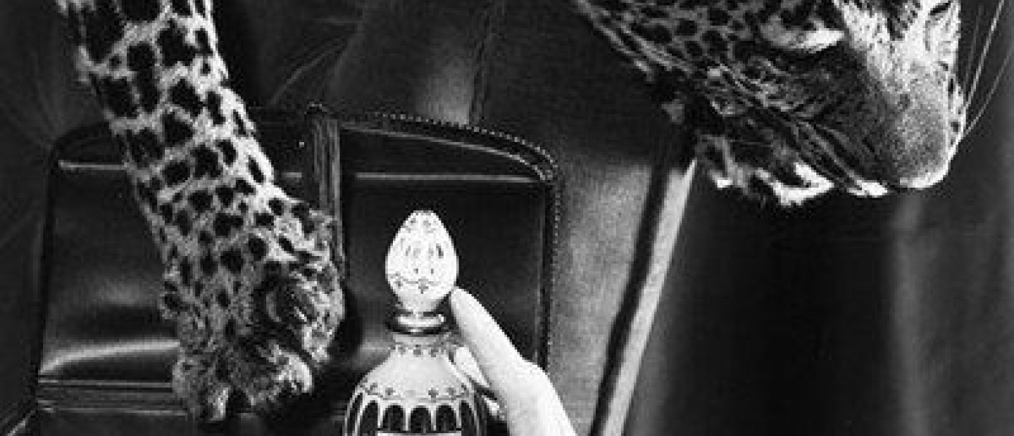 Miss Dior