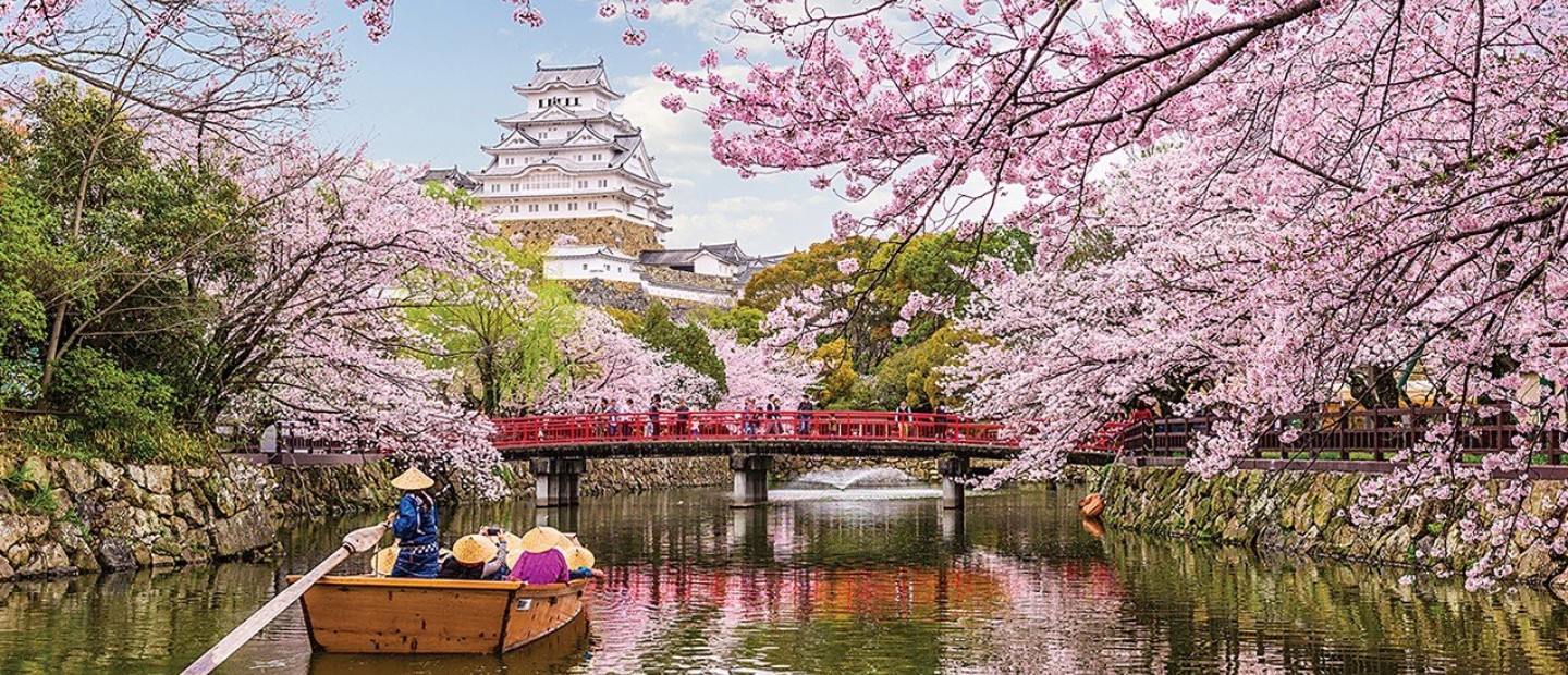Pink in Japan: Ένα ταξίδι-εμπειρία ζωής στην υπέροχη Ιαπωνία