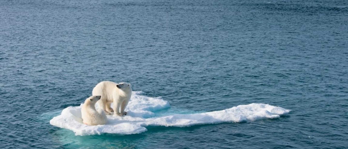 Save the planet: Απλές, καθημερινές συνήθειες που μπορούν να σώσουν τον πλανήτη