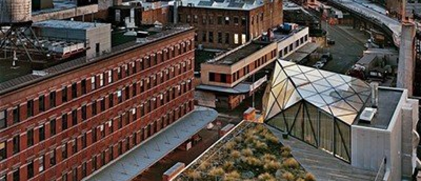 Into Diane’s World