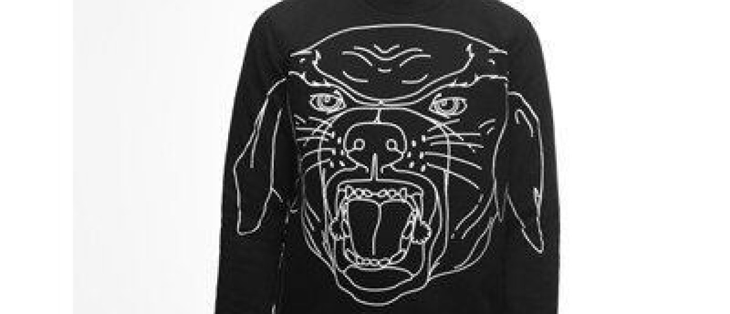 Rottweiler is Back