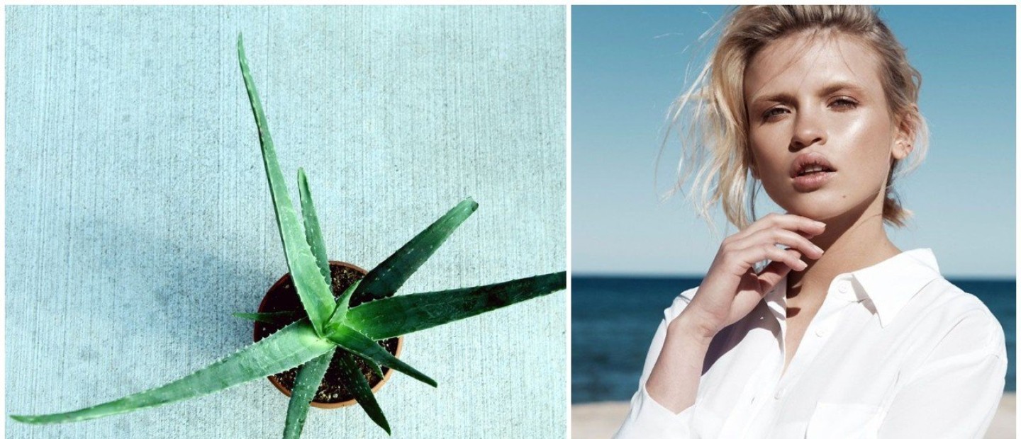 5 λόγοι που η αλόη είναι ένα θαυματουργό φυσικό skincare συστατικό 