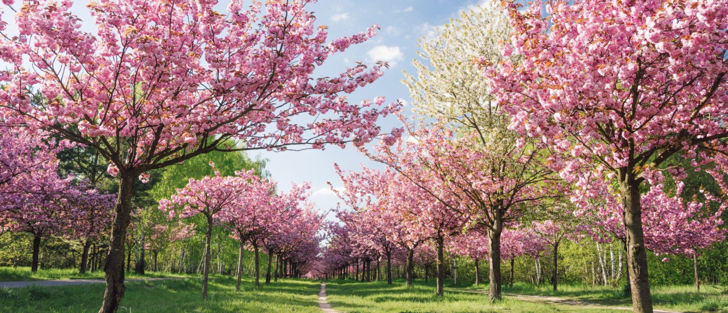 Ονειρικοί δρόμοι σε μαγικές χώρες του κόσμου που αξίζει να επισκεφτείτε