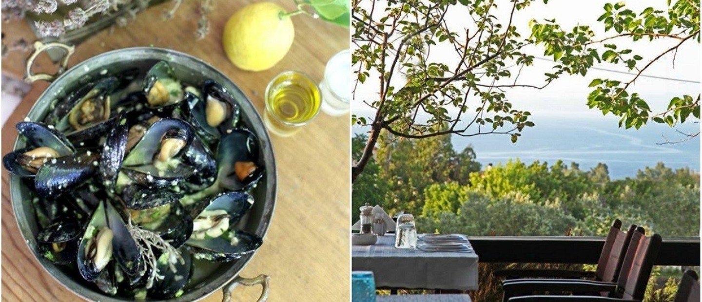 Η τέχνη της θαλασσινής γαστρονομίας βρήκε θέση σε μια κουζίνα 40 χρόνων στην Κρυοπηγή