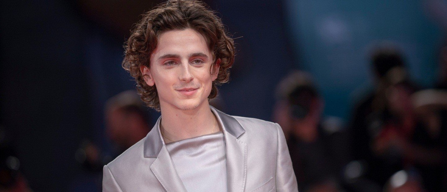 Timothée Chalamet: Όσα πρέπει να γνωρίζετε για τον ανατρεπτικό ανερχόμενο star 