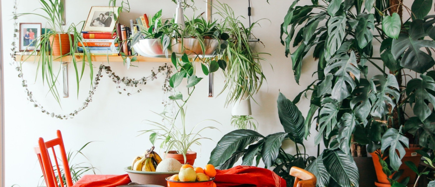 Δεν έχετε μπαλκόνι; Διαμορφώστε μια εξωτική γωνιά μέσα στο σπίτι με 4 εύκολες λύσεις