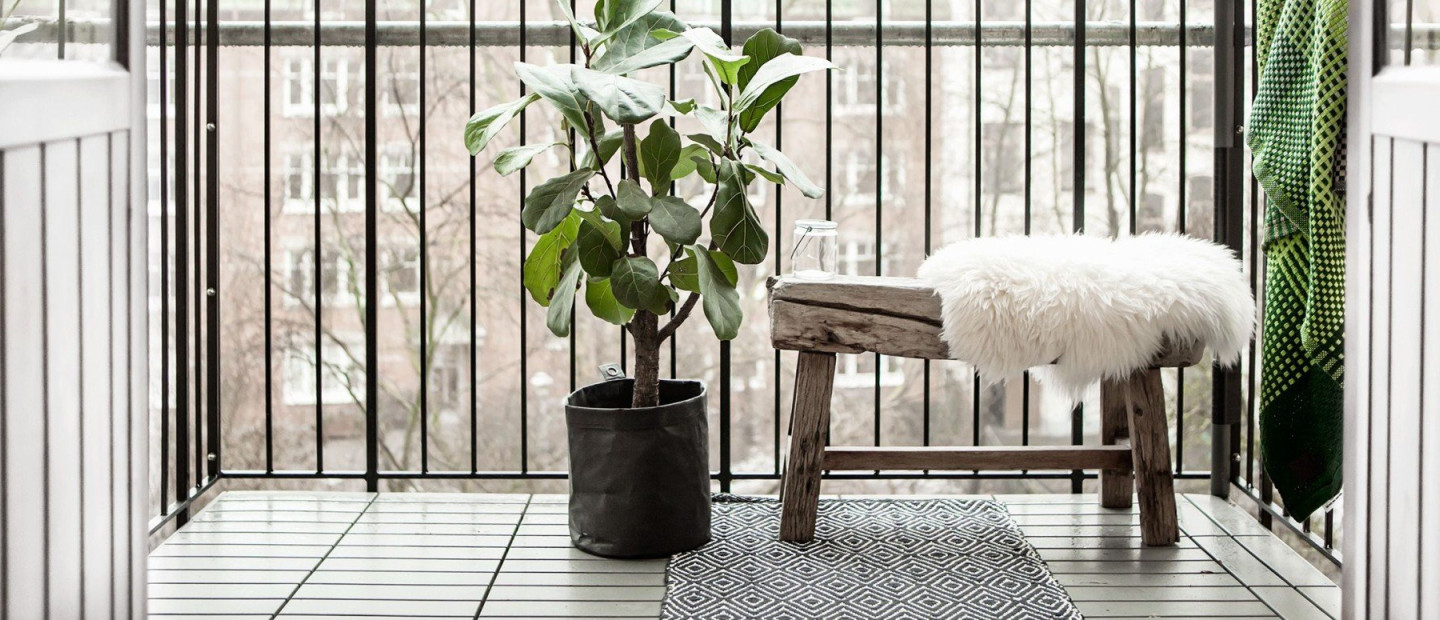 Gardening Power: Πώς να περιποιηθείτε τα φυτά στο μπαλκόνι & τον κήπο σας τώρα τον χειμώνα