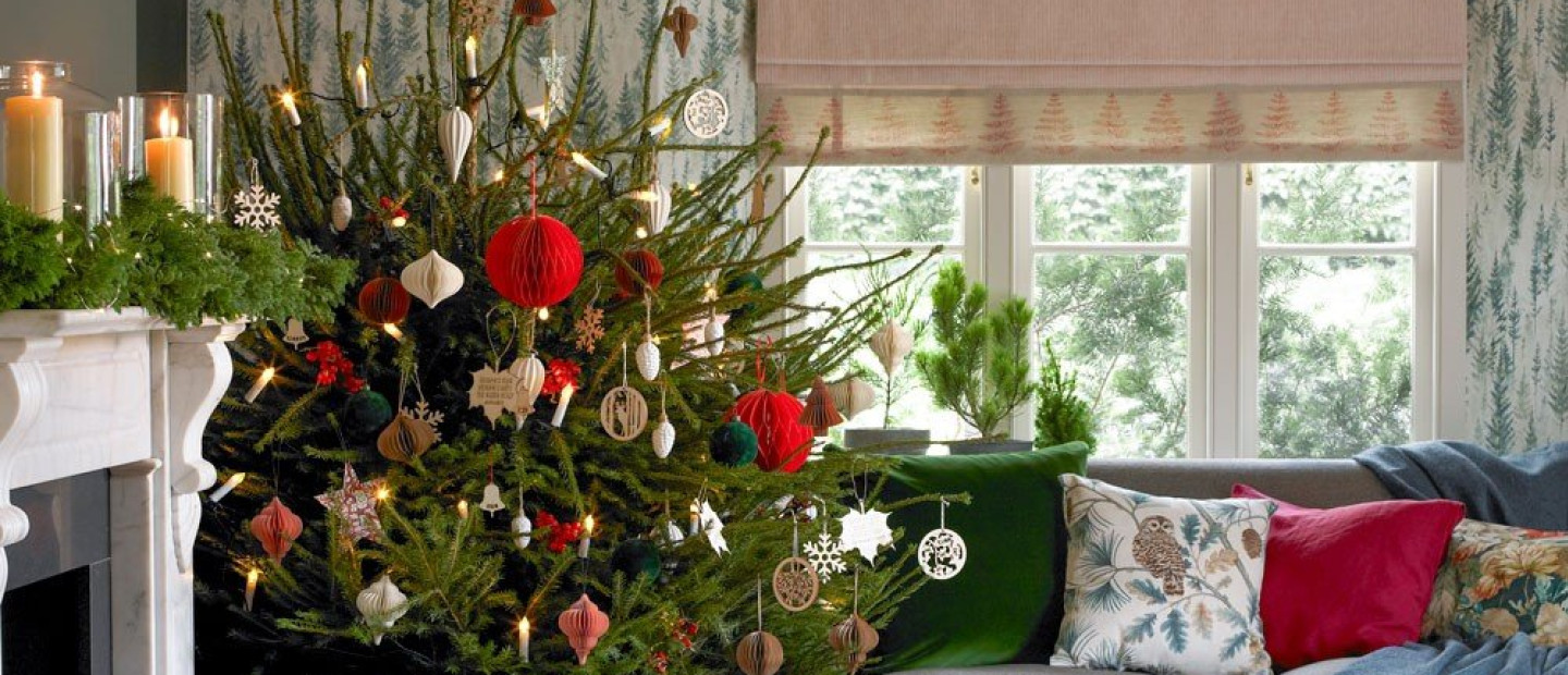 Christmas Flowers: Τα φυτά της εποχής που θα απογειώσουν τον γιορτινό σας στολισμό 