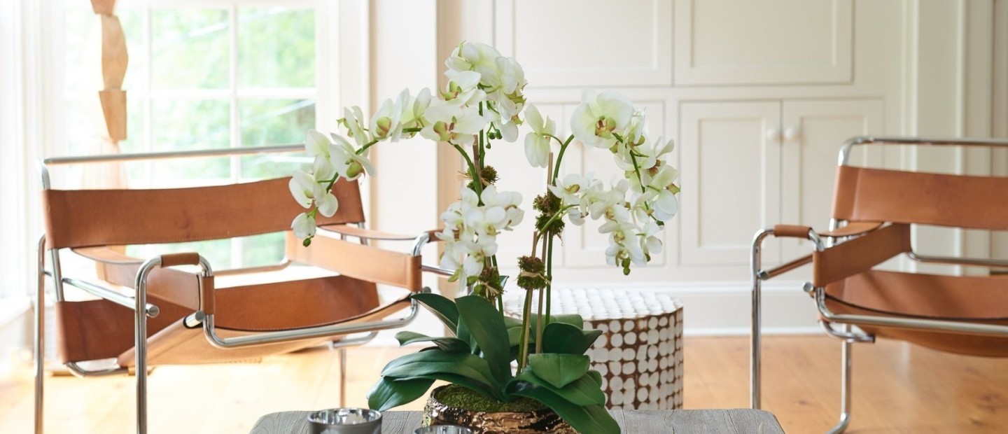 Τα πιο τυχερά φυτά σύμφωνα με το Feng Shui και τι θα σας προσφέρει το καθένα από αυτά