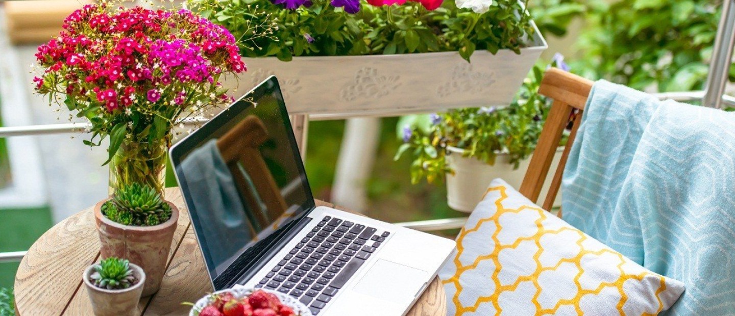 Outdoor Decoration: Τα φυτά που θα δώσουν νέα πνοή στις βεράντες μας 