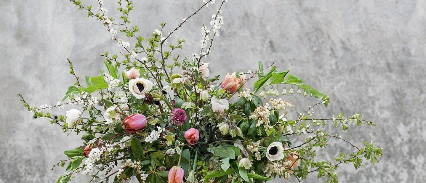 Garden Experts: Πώς να περιποιηθείτε σωστά τα φυτά σας το φθινόπωρο