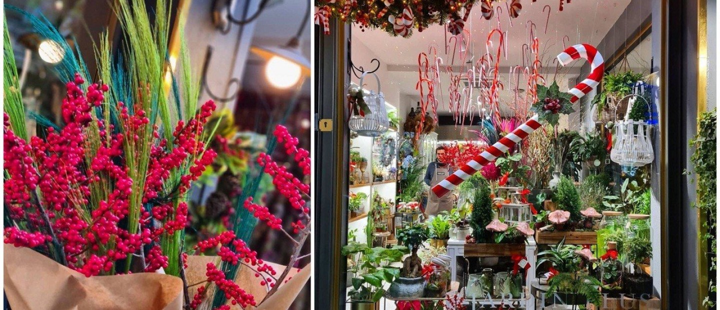 Πώς να εντάξετε τα Χριστουγεννιάτικα λουλούδια & φυτά στη διακόσμησή σας