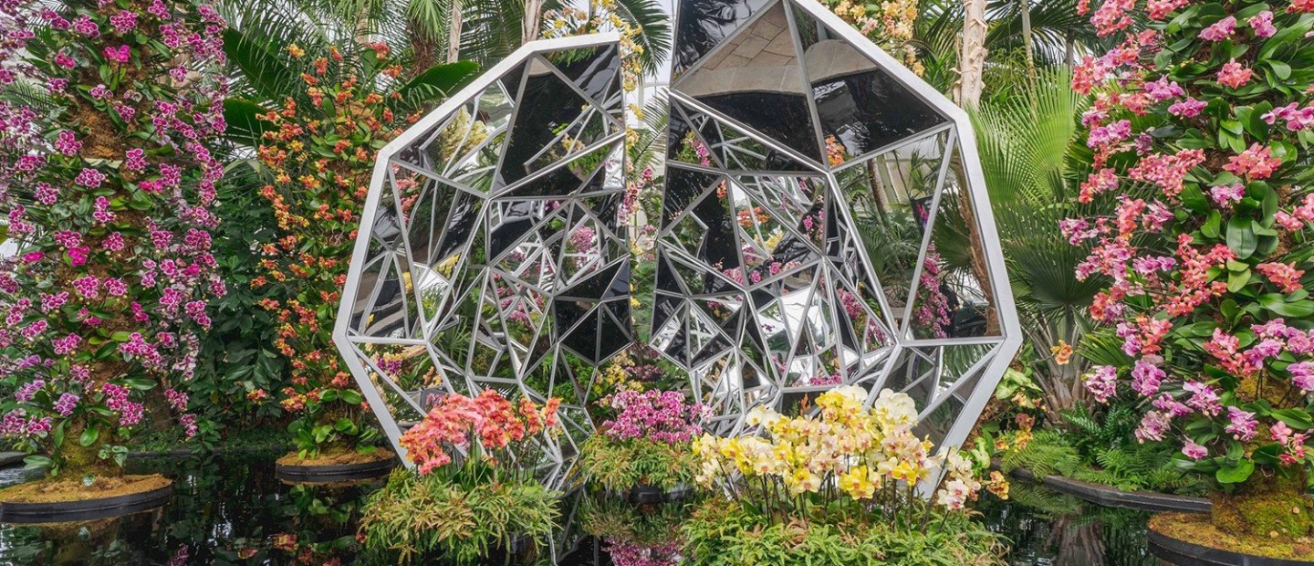 The Orchid Show: Ο Βοτανικός Κήπος της Νέας Υόρκης γεμίζει με ορχιδέες για να υποδεχθεί την άνοιξη