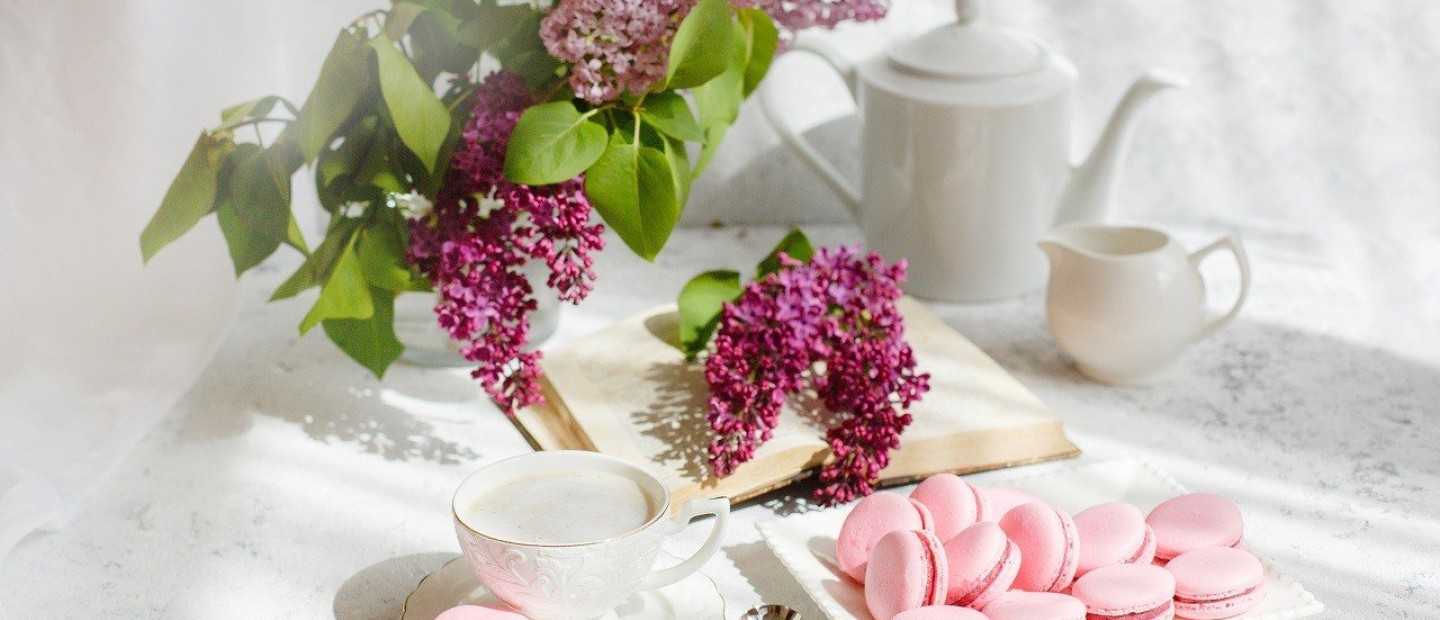 Plant Combos: Οι καλύτεροι συνδυασμοί φυτών για την κατοικία σας