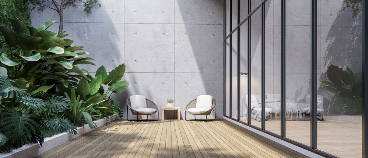 Τα καλύτερα αναρριχώμενα φυτά, στα οποία αξίζει να επενδύσετε 