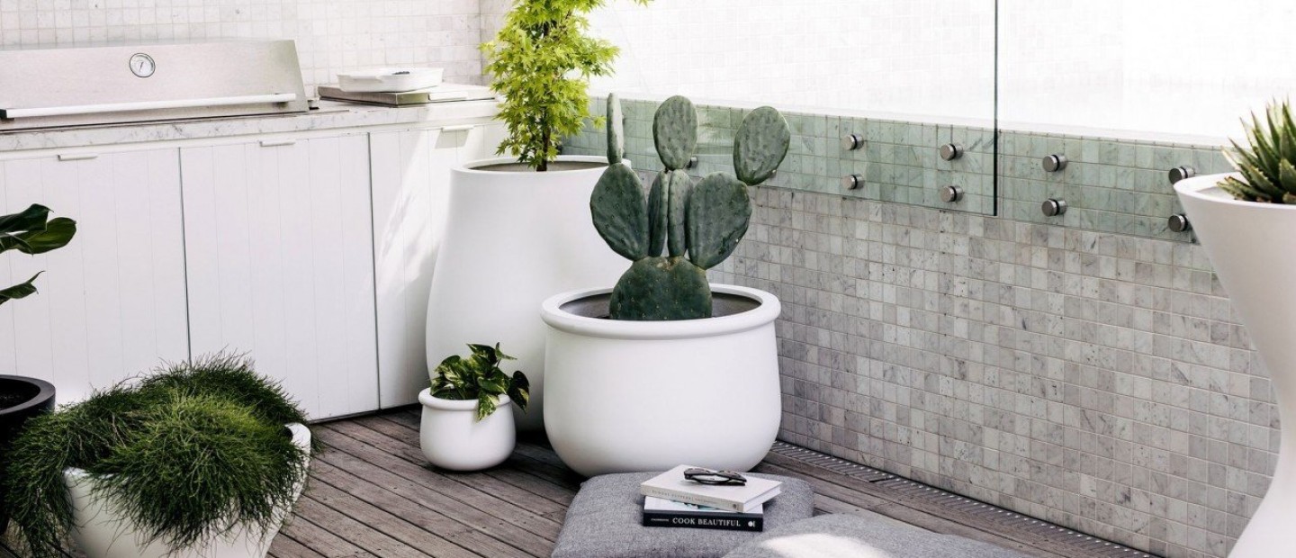 Τα πιο εντυπωσιακά houseplants που χρειάζονται ελάχιστη φροντίδα